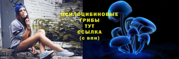 ешки Абаза