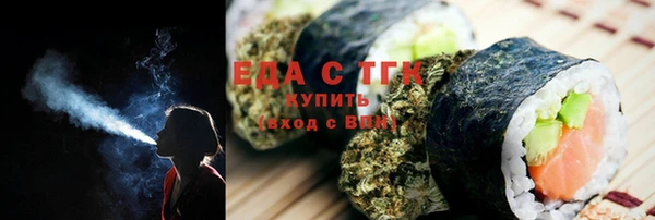 хмурый Алексин