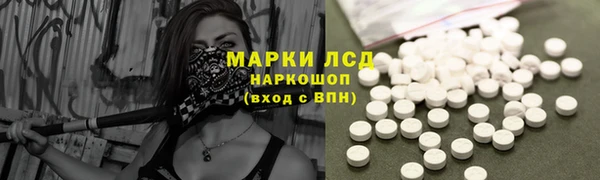 хмурый Алексин