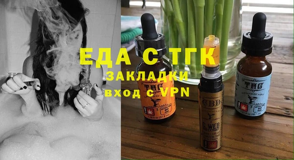хмурый Алексин
