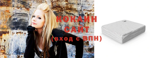 хмурый Алексин